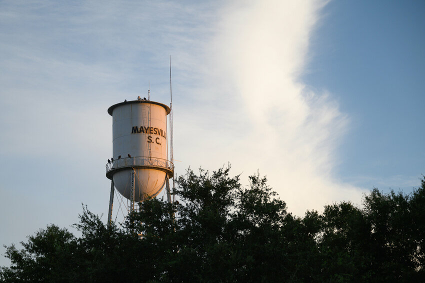 Photo Caption