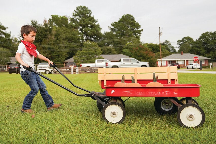 Aldersgate United Methodist Church community members, with help from the USC Sumter tennis, baseball and softball teams, set up for the annual Pumpkin Palooza in September 2023. This year's fundraising pumpkin patch is being held at Sumter Methodist Church.